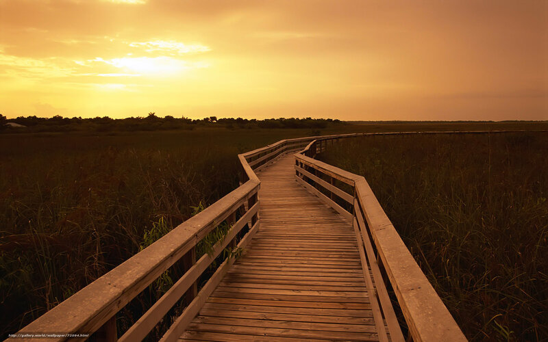 Wooden Boardwalk in Marsh — Orange, Serene