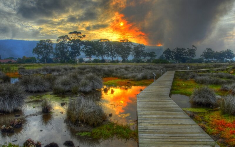 Wooden Boardwalk in Marsh — Orange