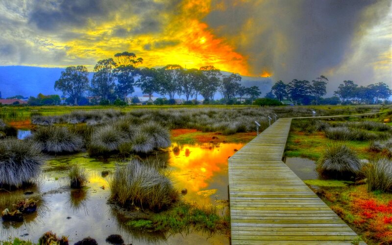 Wooden Boardwalk in Marsh — Yellow