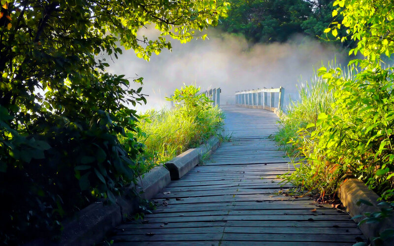 Wooden Boardwalk in Mist