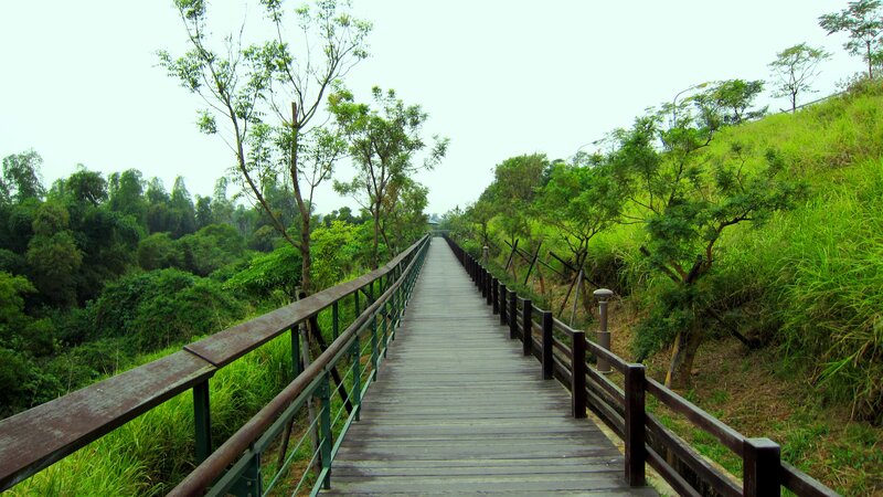 Wooden Boardwalk in Park