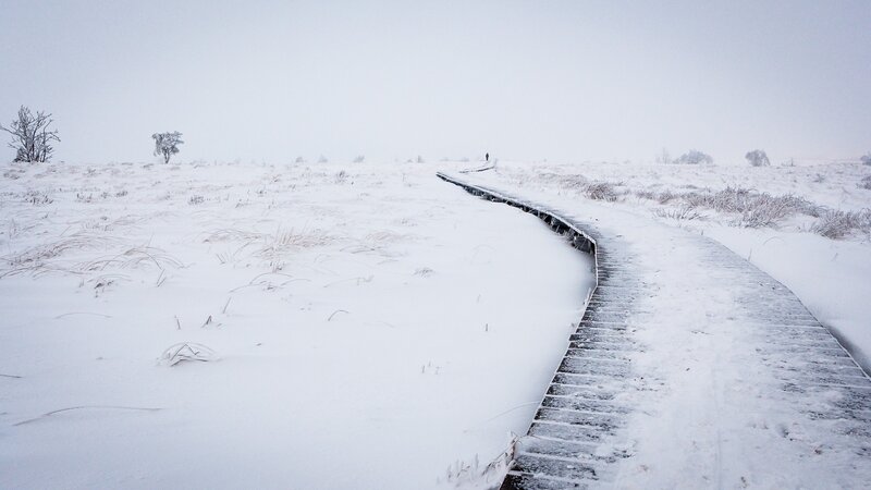 Wooden Boardwalk in Snow