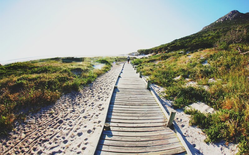 Wooden boardwalk on a coastal path