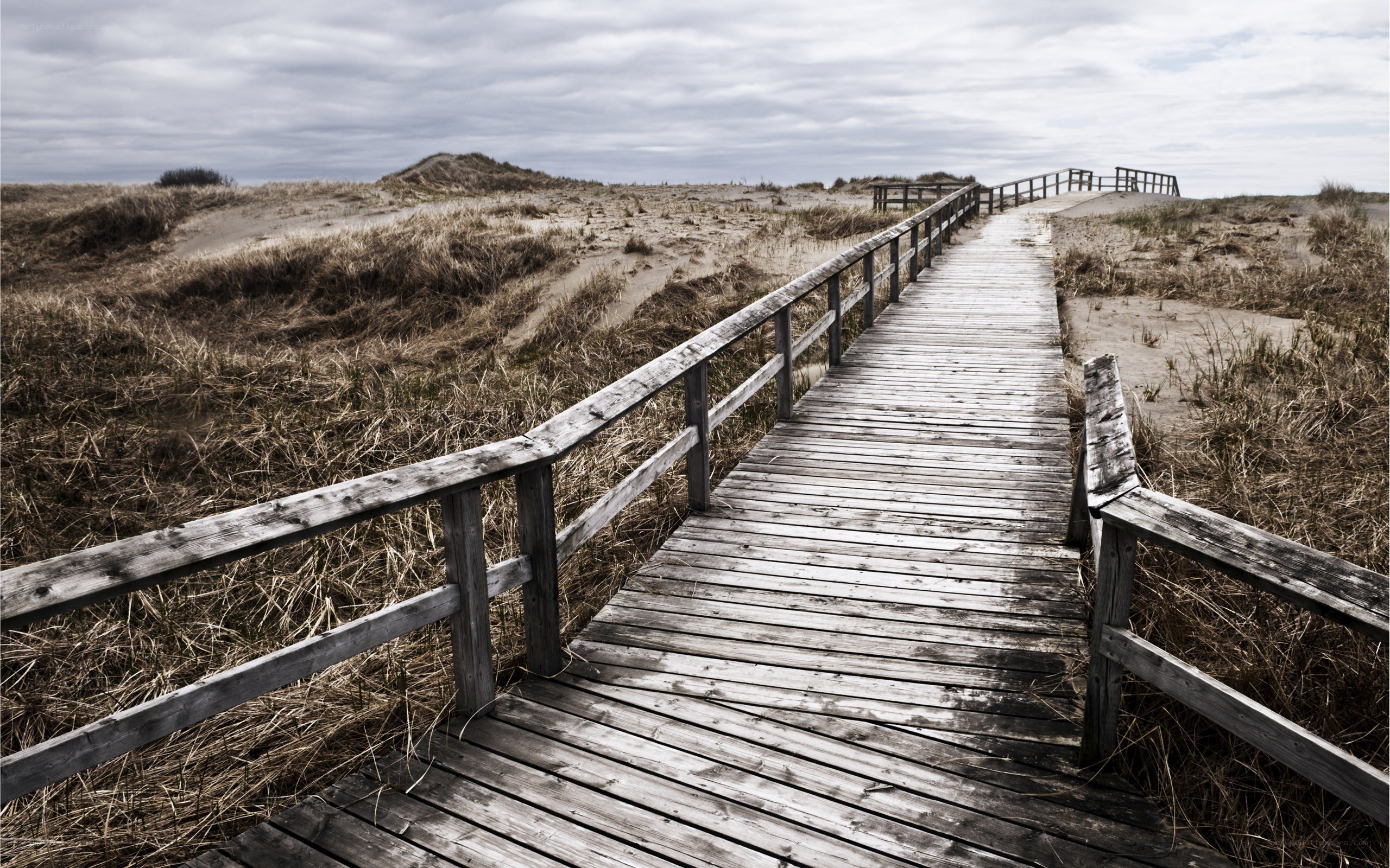 Wooden boardwalk on a dune