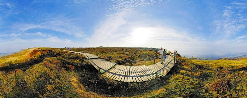 Wooden boardwalk on coastal dunes