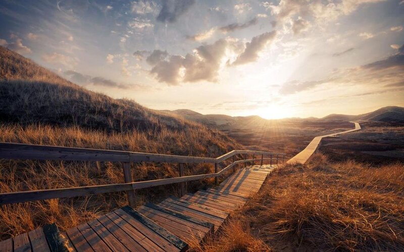 Wooden Boardwalk on Dunes — Brown, Serene
