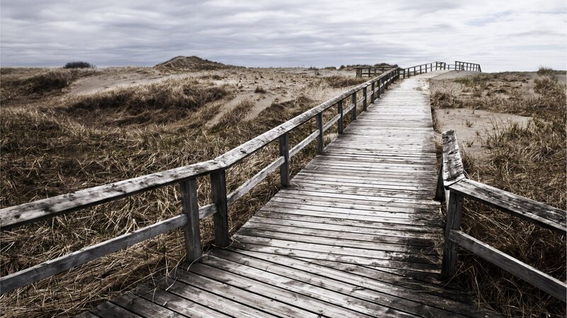 Wooden Boardwalk on Dunes — Brown