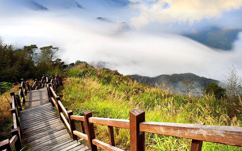 Wooden Boardwalk on Hill