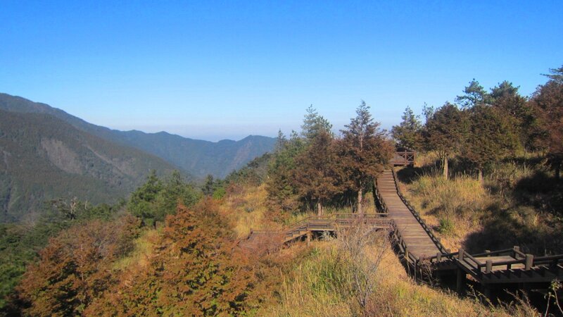 Wooden Boardwalk on Hillside