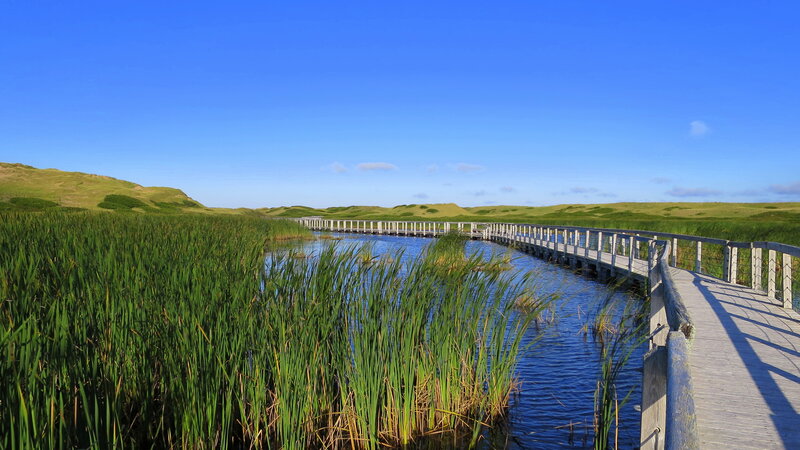 Wooden Boardwalk over Marsh