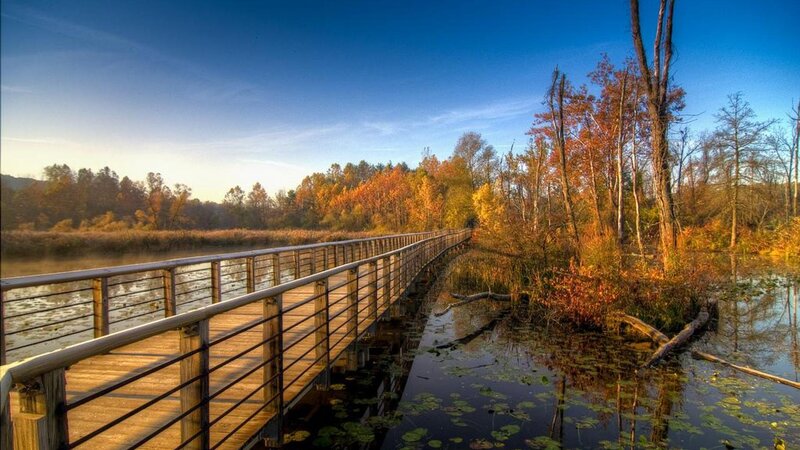 Wooden Boardwalk over Pond — Blue, Serene