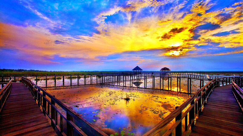 Wooden Boardwalk over Pond — Blue