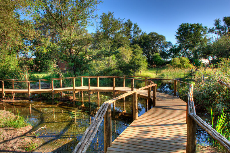 Wooden Boardwalk over Pond — Green