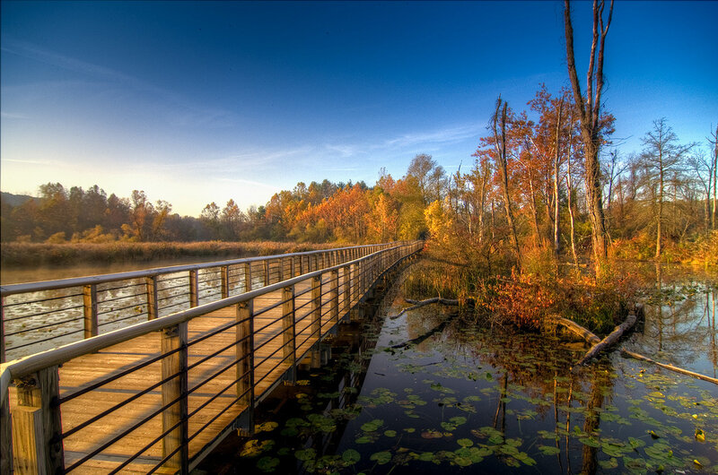 Wooden Boardwalk over Pond