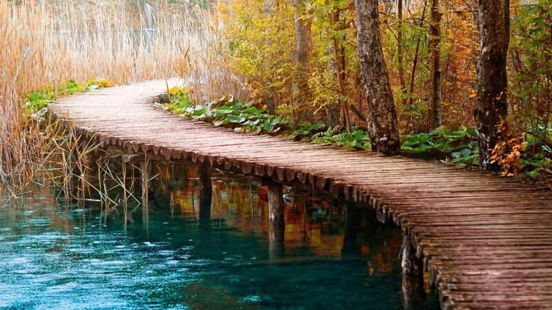 Wooden Boardwalk over Water