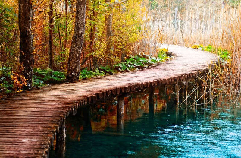 Wooden boardwalk through autumn forest