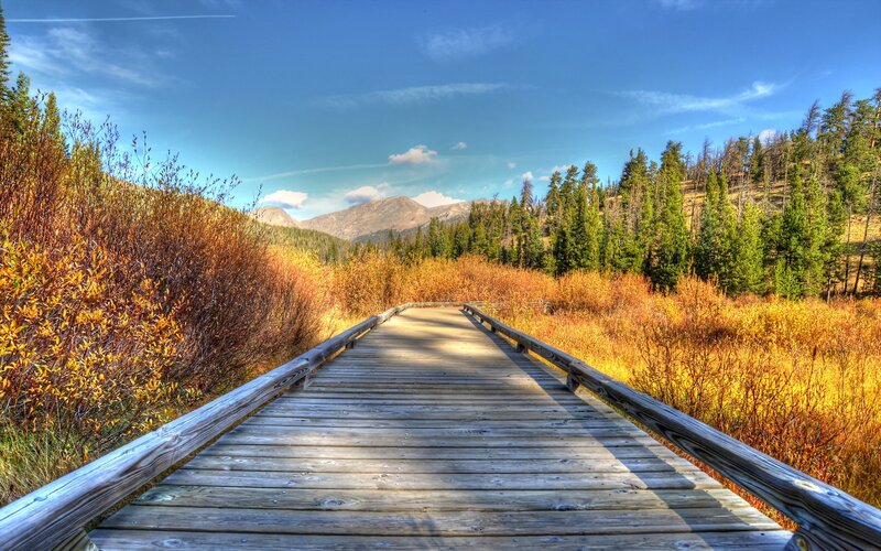 Wooden boardwalk through autumn landscape