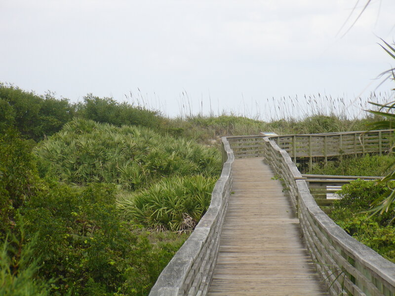 Wooden boardwalk through dunes