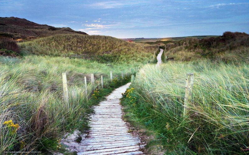 Wooden Boardwalk Through Dunes — Green