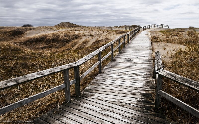 Wooden boardwalk through dunes