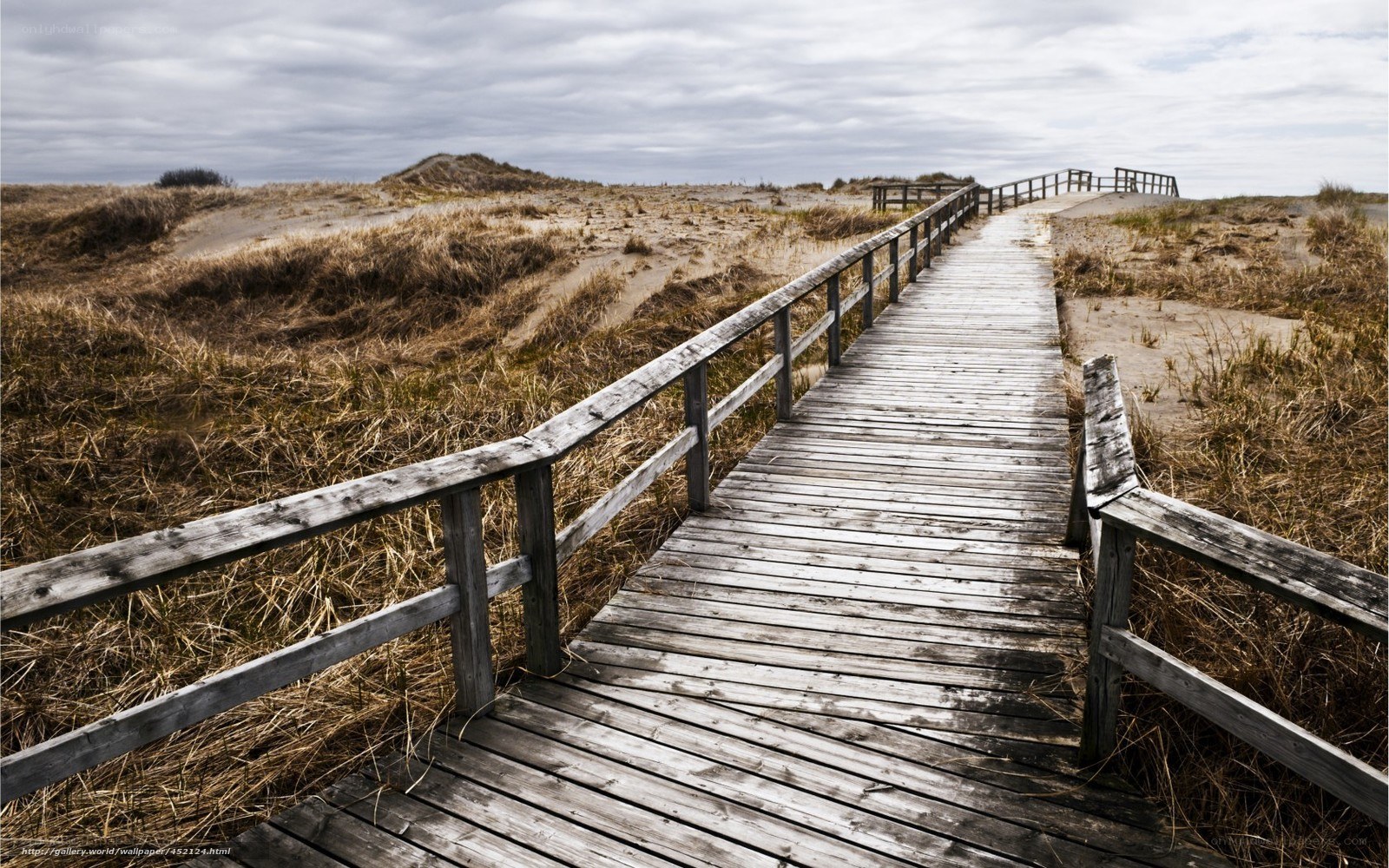 Wooden boardwalk through dunes