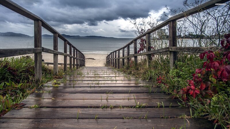 Wooden Boardwalk to Beach — Brown, Dramatic, Photograph