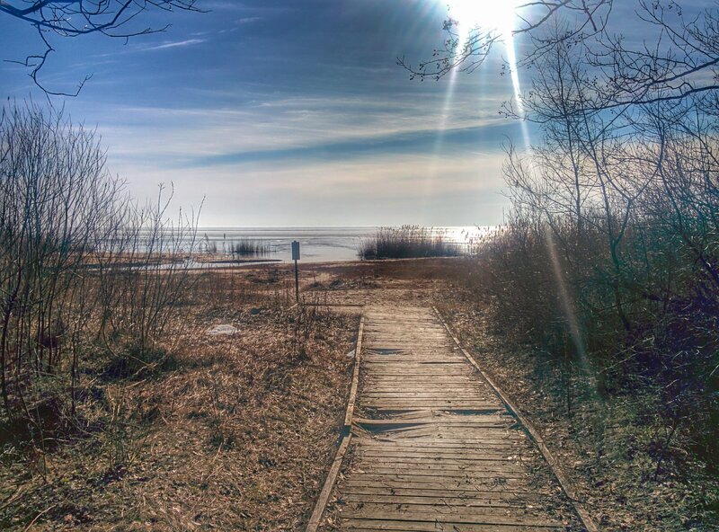 Wooden Boardwalk to Shore