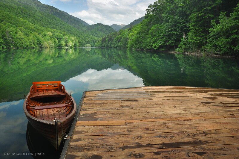 Wooden Boat at Dock — Green, Serene, Afternoon, Photograph
