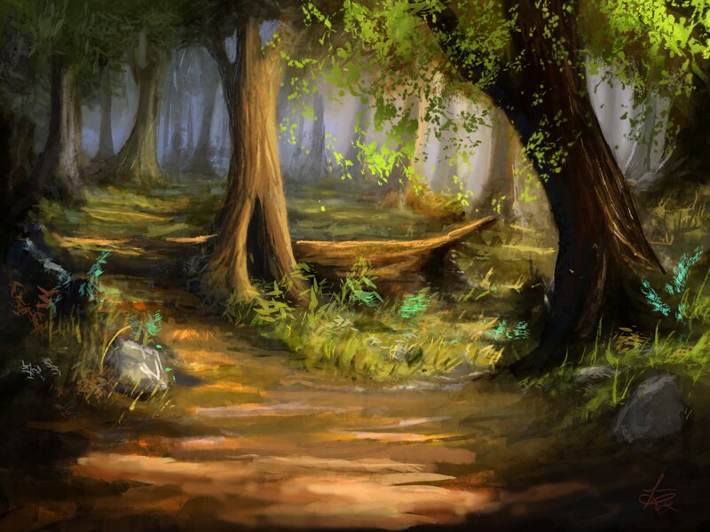 Wooden Boat in Forest