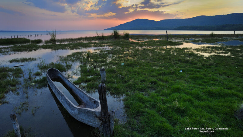 Wooden Boat in Marsh — Green