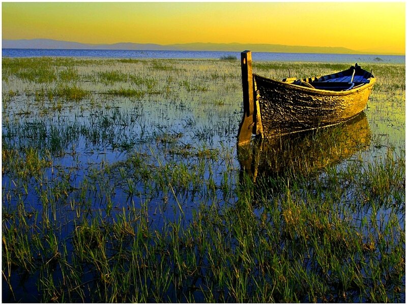 Wooden Boat in Marsh