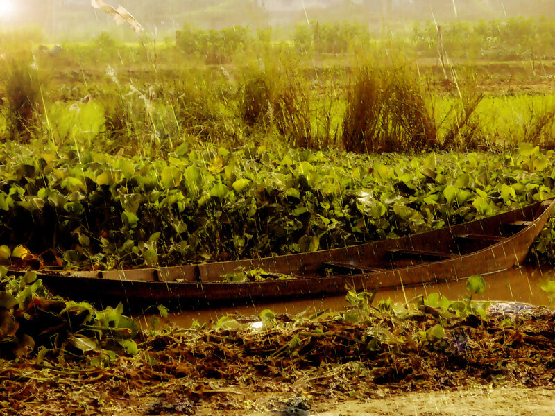 Wooden Boat in Rain