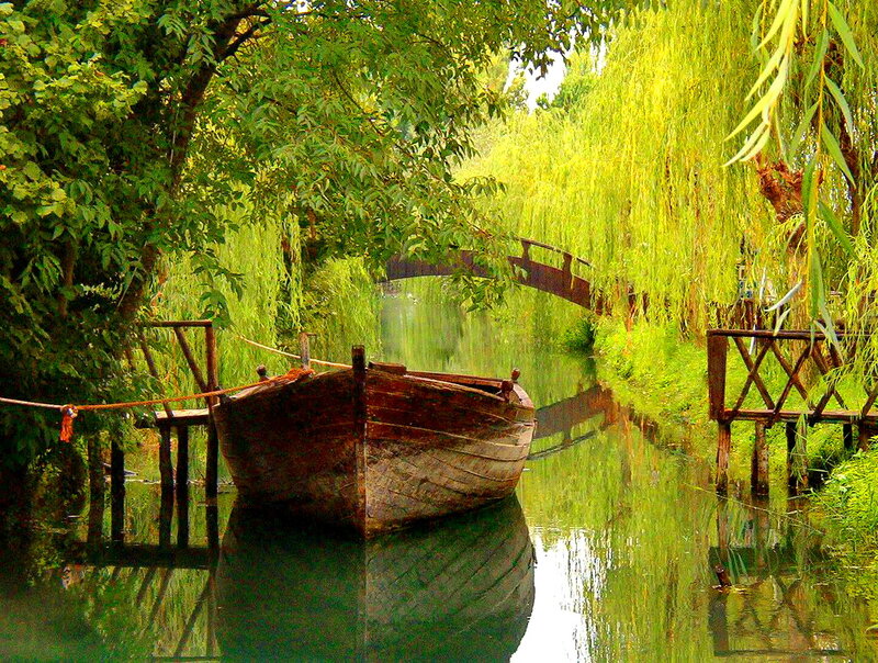 Wooden Boat on Canal — Green, Serene, Afternoon