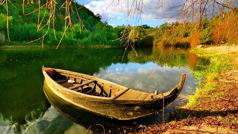 Wooden Boat on River — Green, Serene, Afternoon, Photograph, Trees, Branches