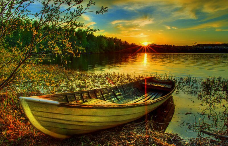 Wooden Boat on Shore — Yellow, Serene