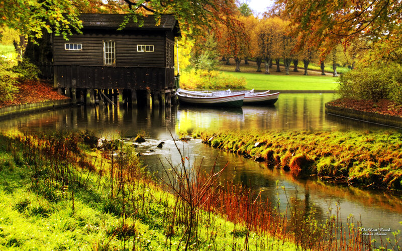 Wooden Boathouse on River — Green, Serene, Autumn, Photograph