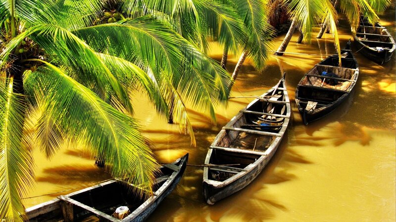 Wooden Boats in River