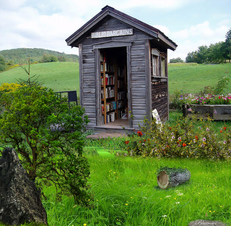 Wooden Bookshop Shed