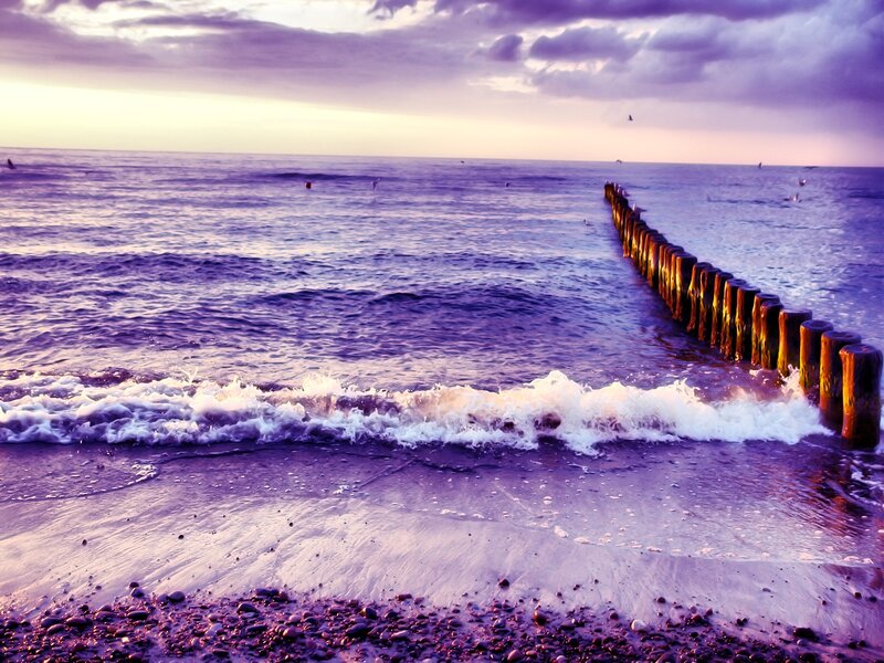 Wooden Breakwater at Beach