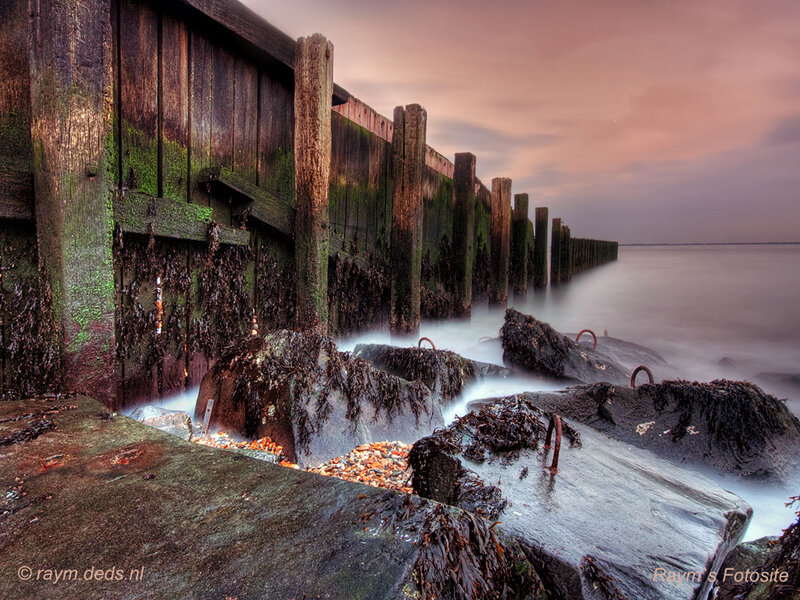 Wooden Breakwater at Sunset — Brown