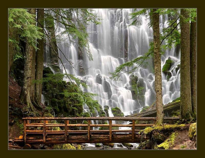 Wooden Bridge and Waterfall — Green