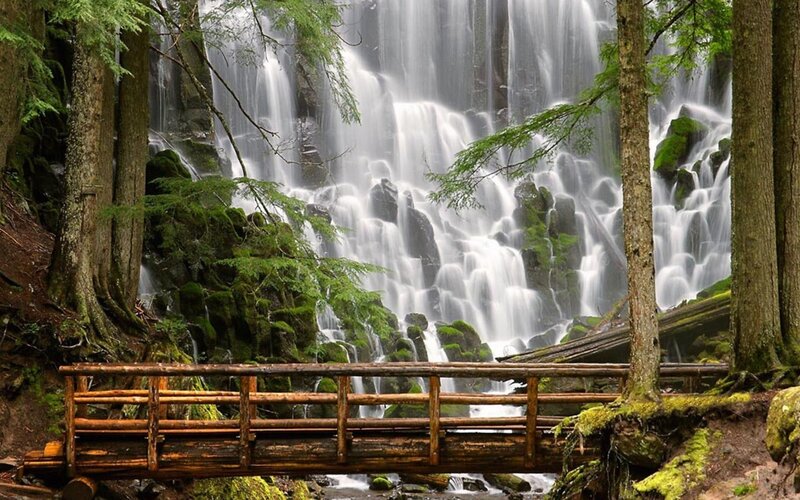 Wooden Bridge and Waterfall