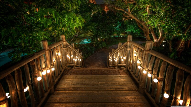 Wooden Bridge at Night — Green, Serene, Photograph, String Lights, Trees