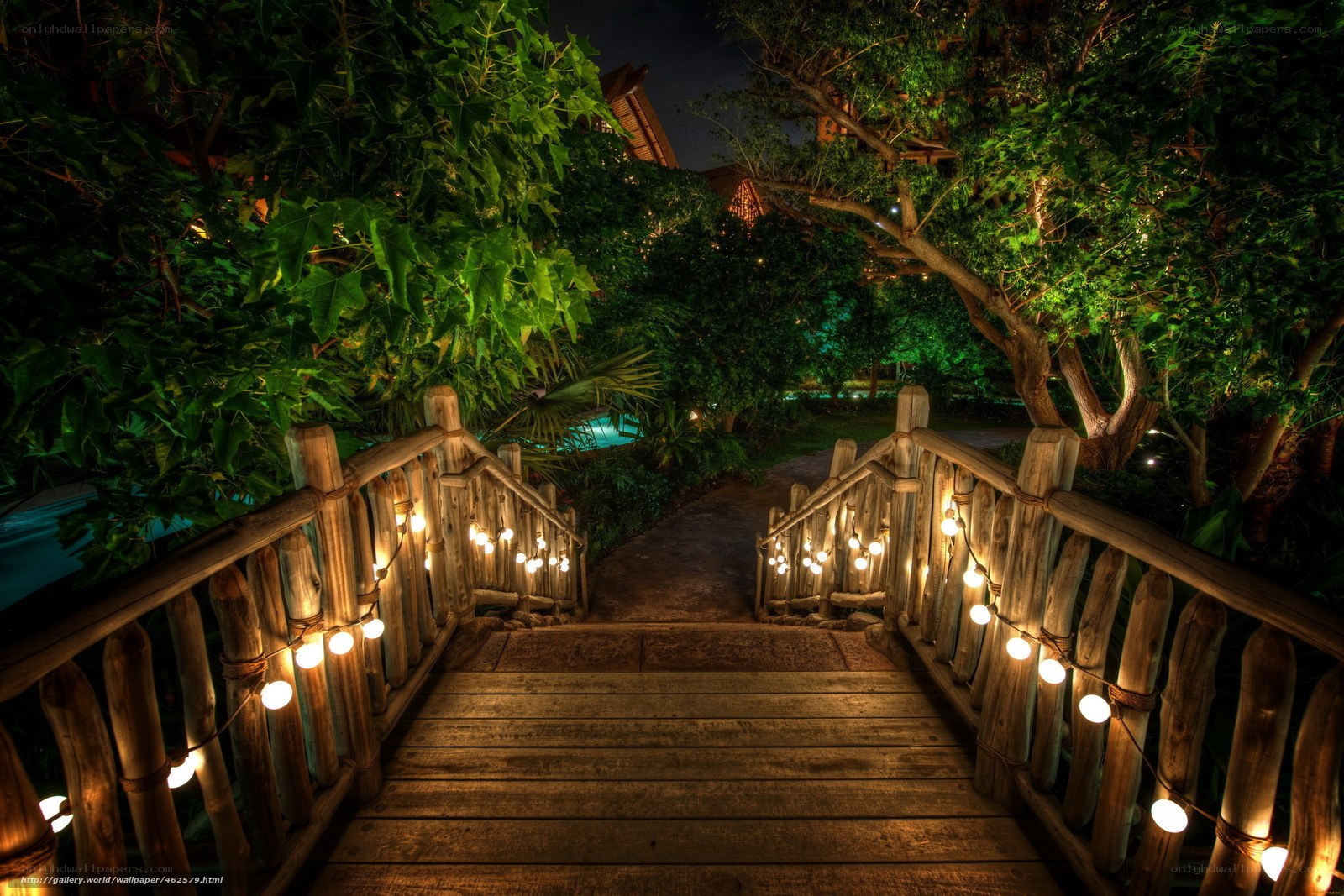 Wooden bridge at night