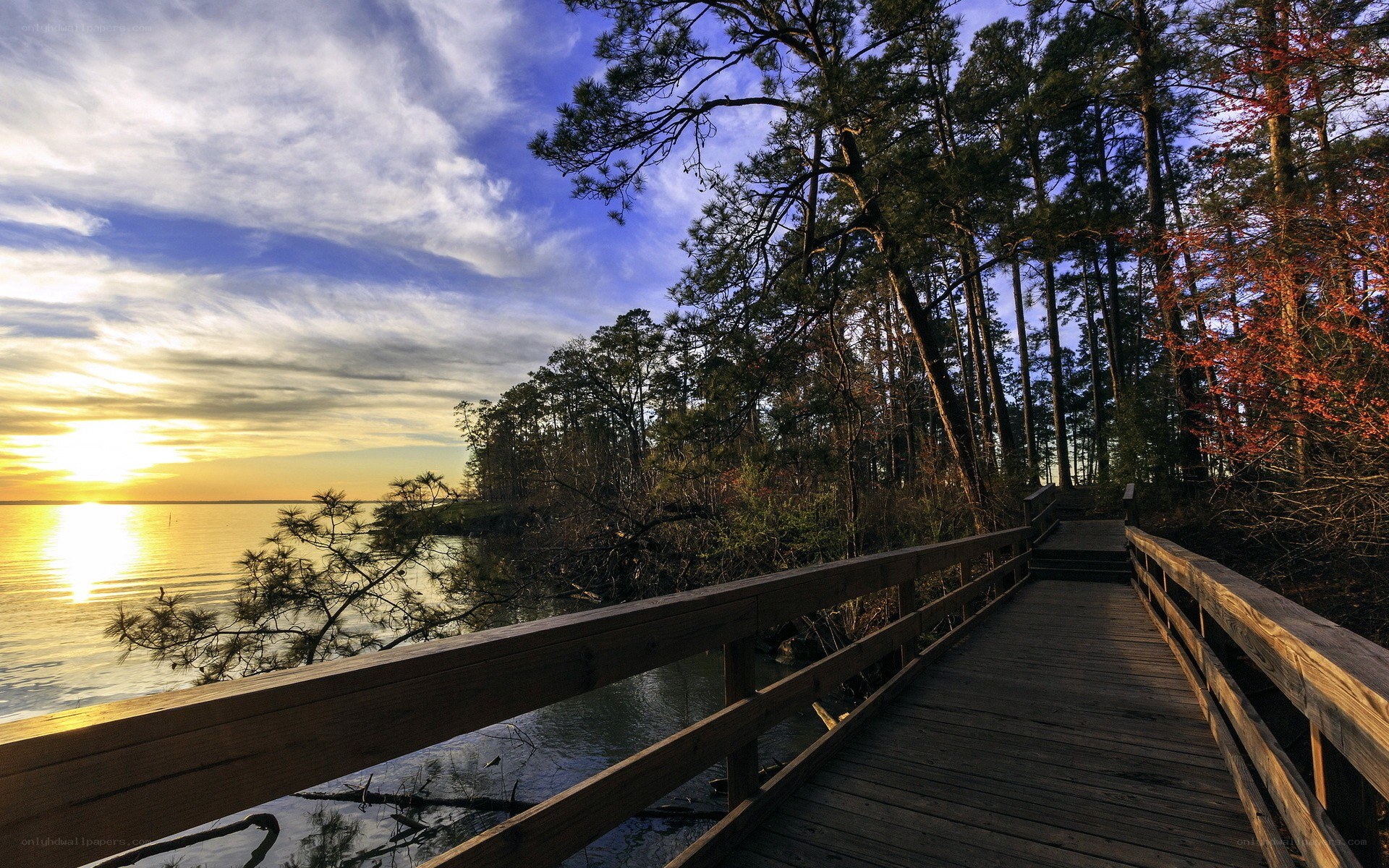 Wooden bridge at sunset