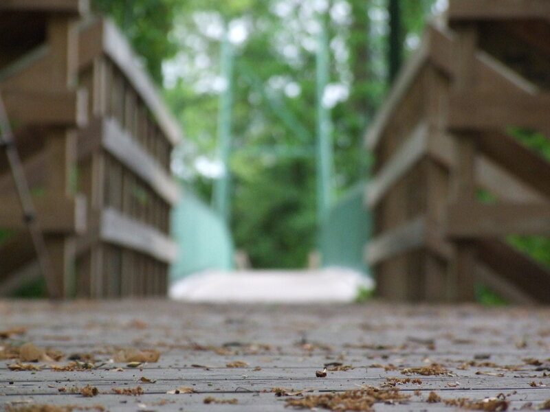 Wooden Bridge Deck — Brown