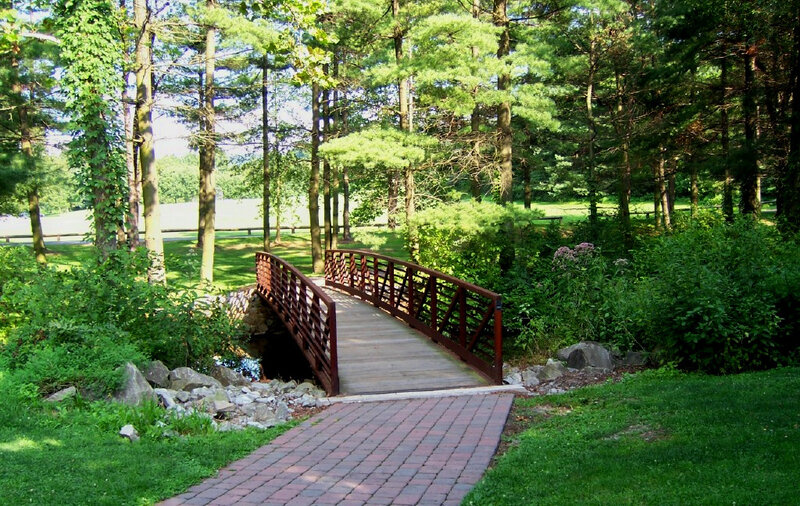 Wooden bridge in a forest park