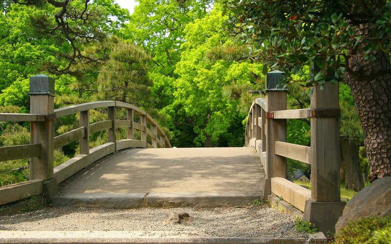 Wooden bridge in a green garden