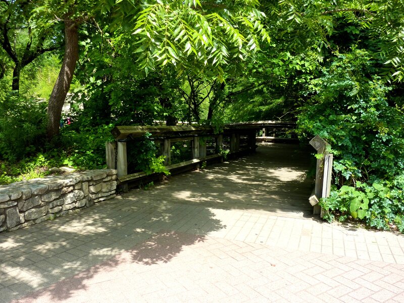 Wooden bridge in a lush park