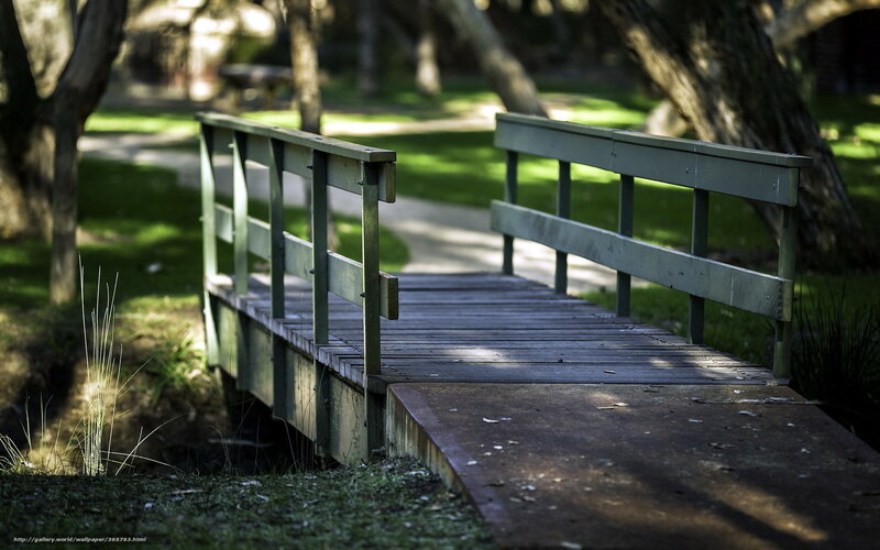 Wooden bridge in a park